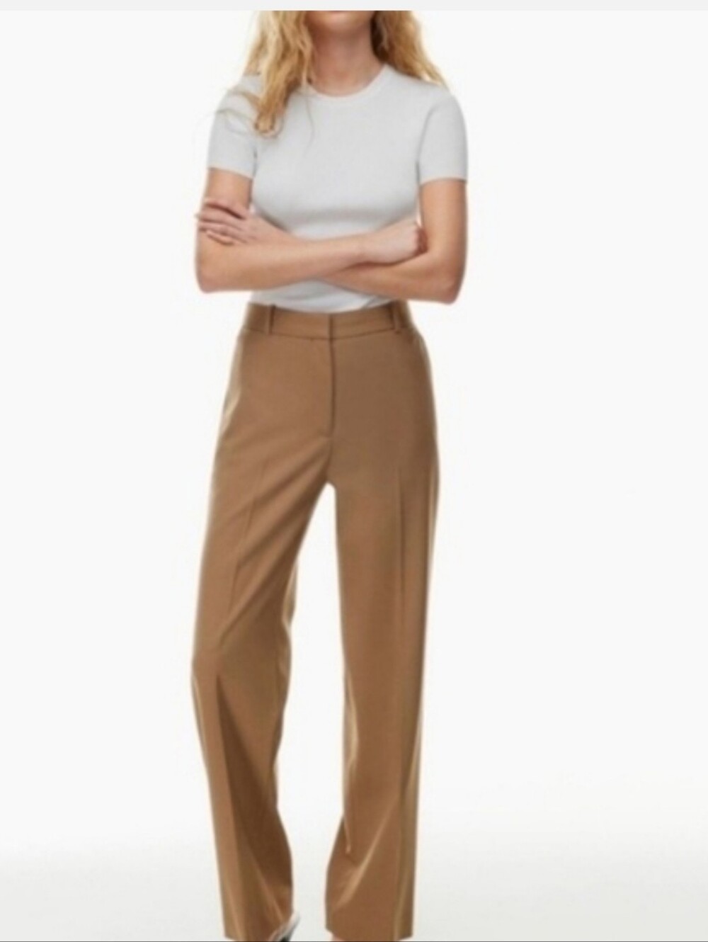 Aritzia Babaton Atelier Agency Pant - Light Tan Size 4